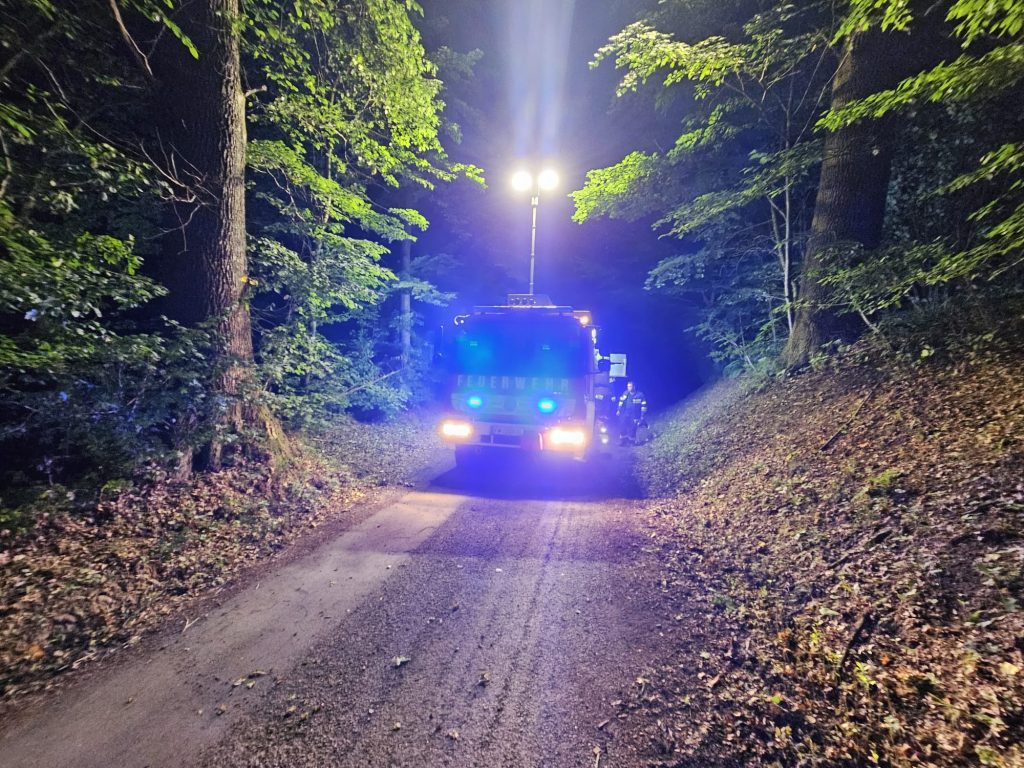 Baum über Straße