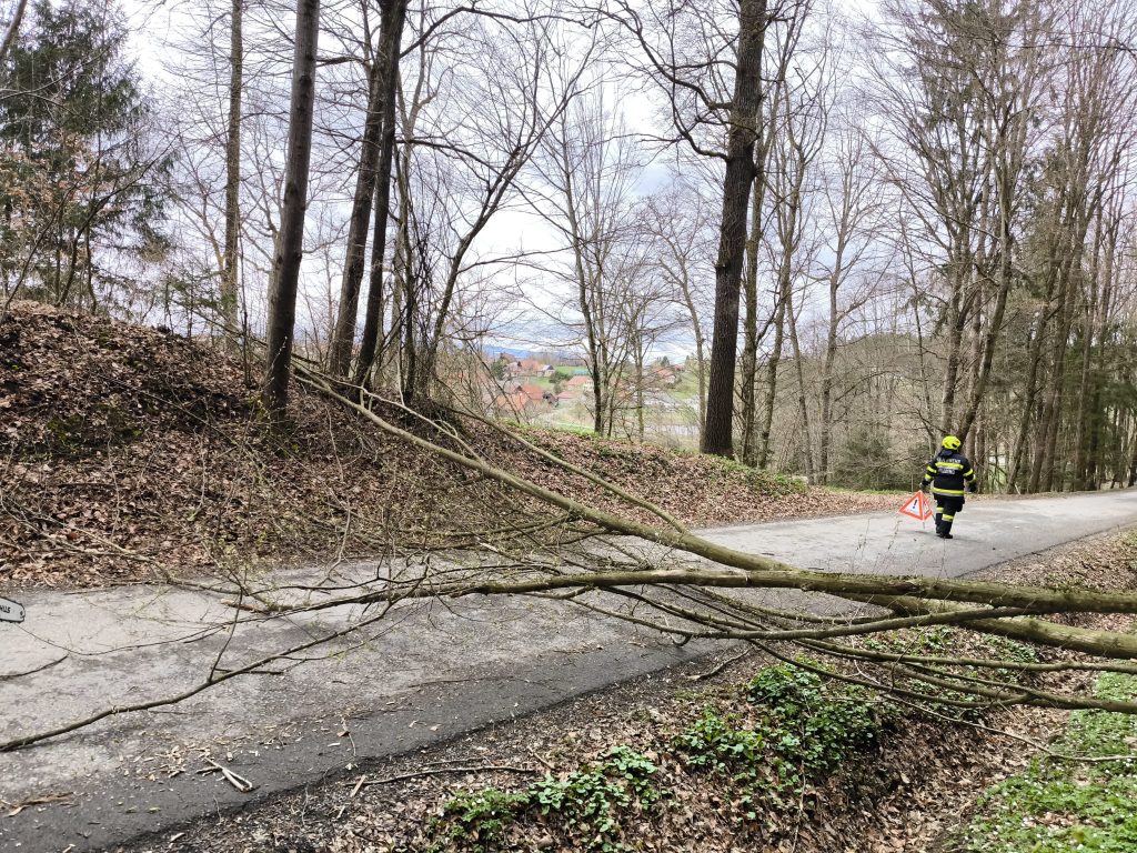 Wind führte zu einem Feuerwehreinsatz