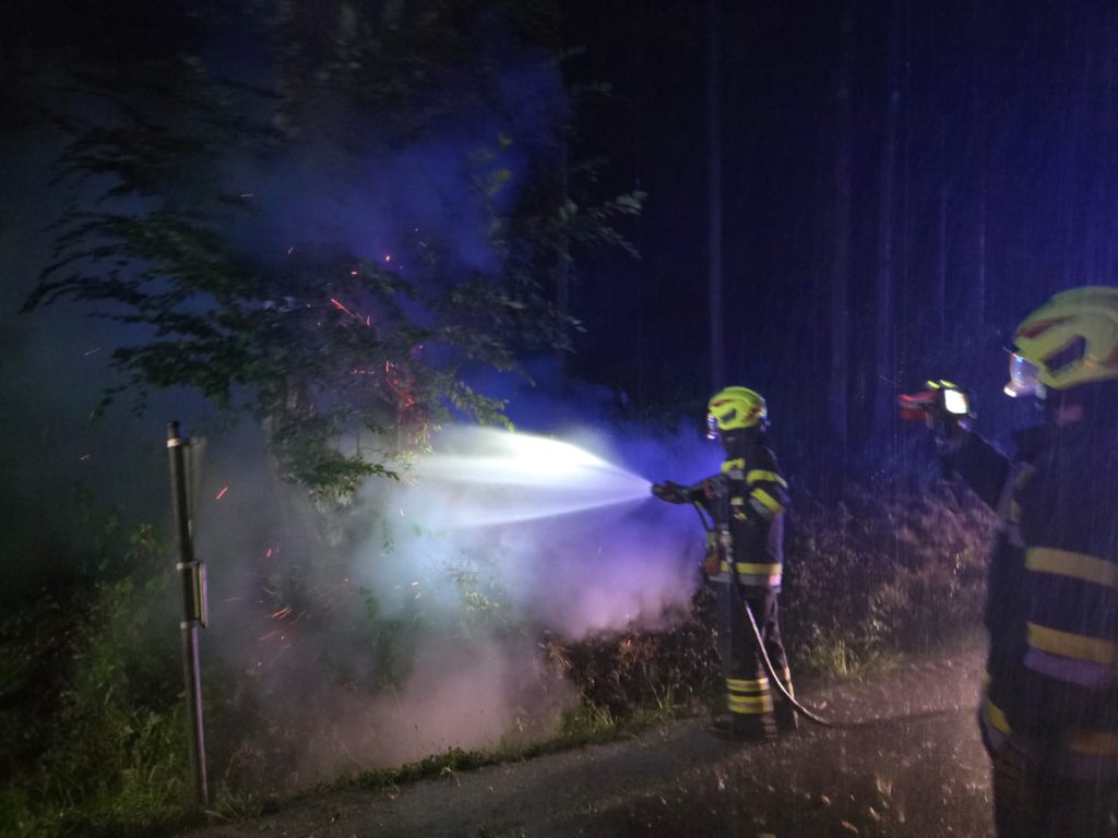 Baumbrand nach Blitzschlag im Tobiswald